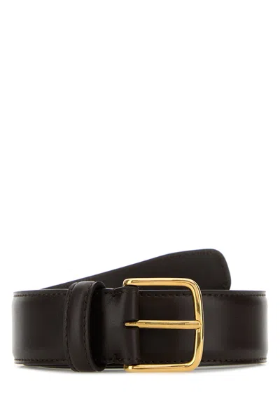 The Row Maxi Belt With Smooth Finish And Gold Buckle In Brown