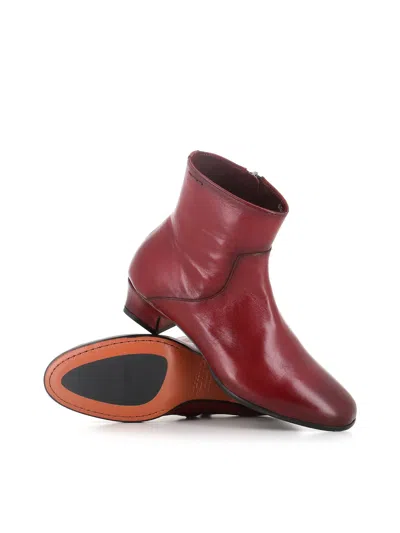 Alexander Hotto Ankle Boot 68617 In Brown