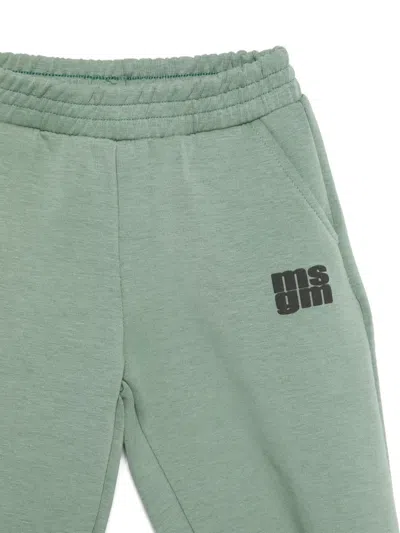 Msgm Logo-print Tracksuit Set In Green
