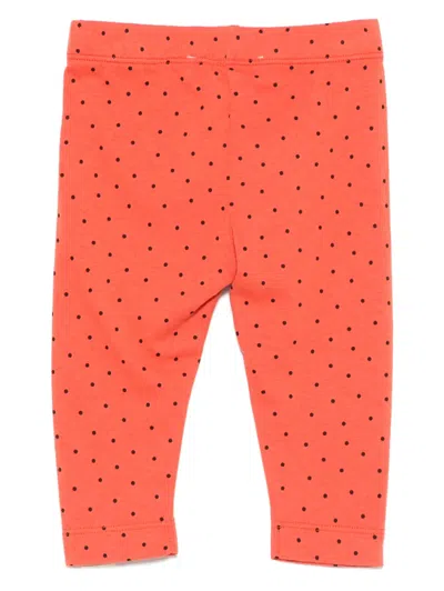 The Animals Observatory Polka-dot Leggings In Red