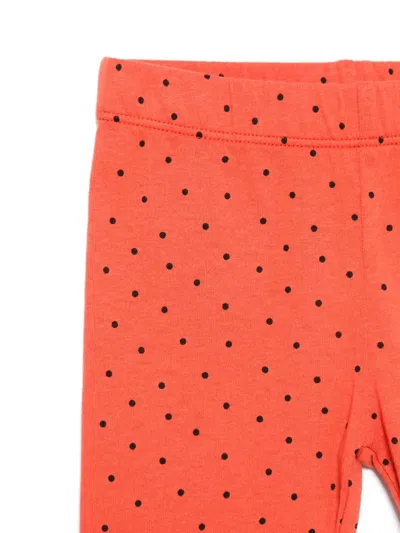 The Animals Observatory Polka-dot Leggings In Red