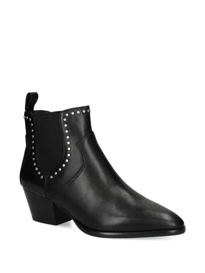 Ash Chelsea Ankle Boots Block Heel In Black