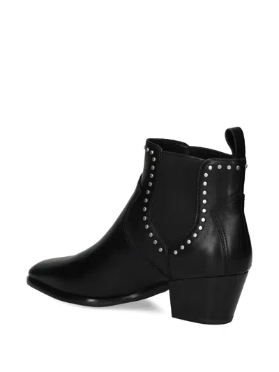 Ash Chelsea Ankle Boots Block Heel In Black