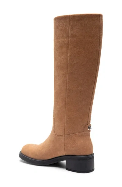 Aerosoles Morisson Knee High Boot In Brown