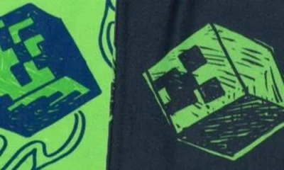 Ame Kids' Minecraft Assorted 2-pack Pajama Pants In Multi