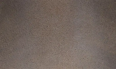 Clarks Women's Charleton Grace Buckled Ankle Booties In Brown