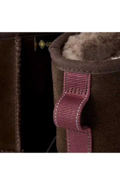 Ugg Suede Pull-tab Boots In Brown