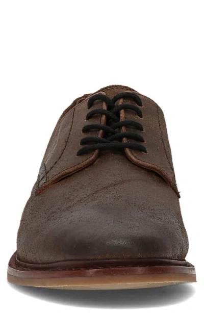 Frye Paul Derby In Brown