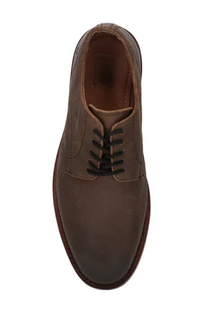 Frye Paul Derby In Brown