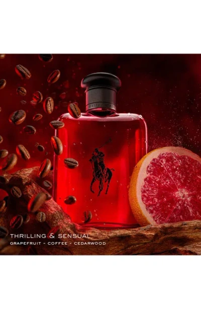 Ralph Lauren Cologne Set In Transparent