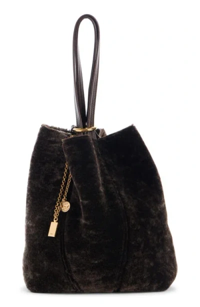 Chloé Chloe Women Dark Brown Shearling Large Chloã¨ Spin Shopping Bag In Brown