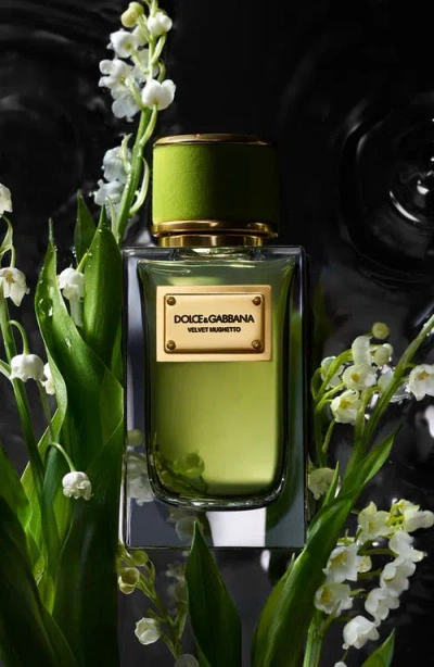 Dolce & Gabbana Dolce&gabbana Luminous Velvet Collection Luminous Discovery Set In Black