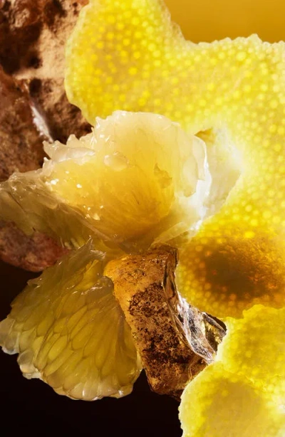 Bvlgari Le Gemme Tygar X Refik Anadol Eau De Parfum In Multi