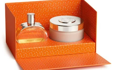 Hermes Hermès Barénia In Transparent