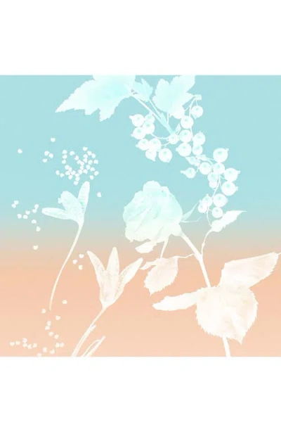 Tiffany & Co Rose Gold Eau De Parfum 3-piece Gift Set In Transparent