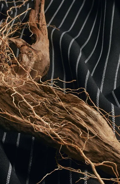 Dolce & Gabbana Masculine Re-edition Eau De Parfum In Multi