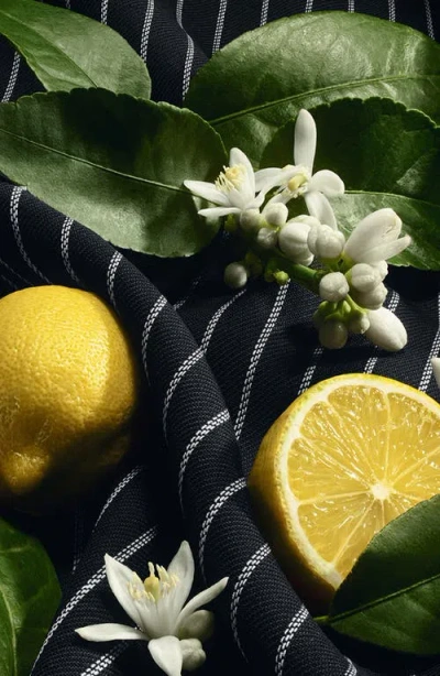 Dolce & Gabbana Masculine Re-edition Eau De Parfum In Multi