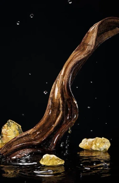 Dolce & Gabbana Velvet Honey Santal Fragrance, 3.3 oz In Transparent