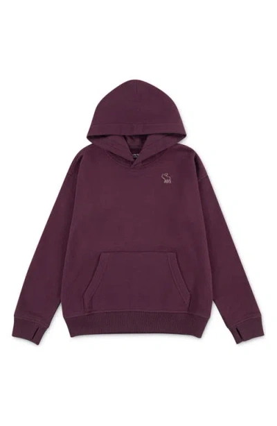 Abercrombie Boys Essential Fleece Pullover Hoodie In Purple