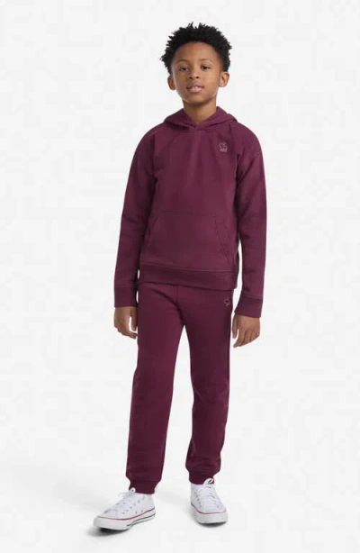 Abercrombie Boys Essential Fleece Pullover Hoodie In Purple