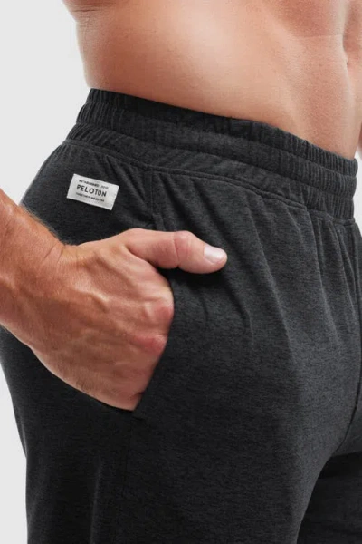 Peloton Dreamblend Jogger In Gray
