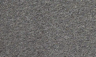 Polo Ralph Lauren Girls 7-16 Flag Mock Neck Sweatshirt In Gray