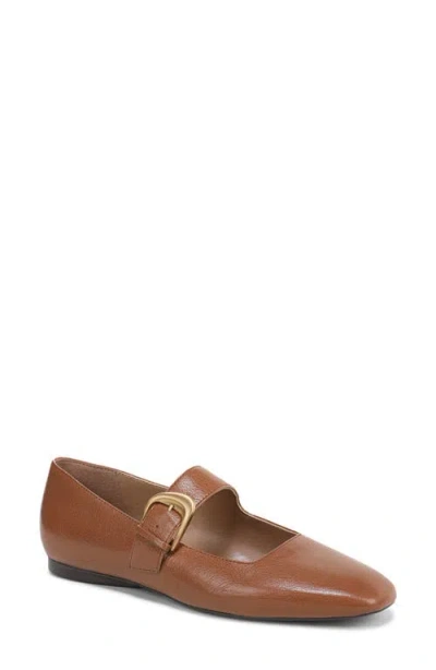 Naturalizer Women's Cosmic Square Toe Mary Jane Ballet Flats In Brown
