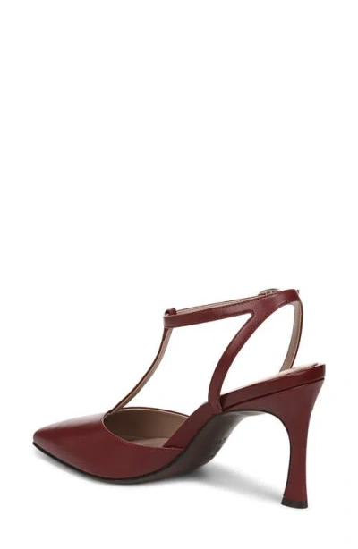 Naturalizer Astrid T-strap Pointed Toe Pump In Brown