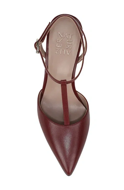 Naturalizer Astrid T-strap Pointed Toe Pump In Brown