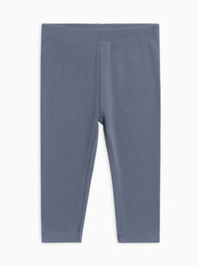 Colored Organics Organic Cotton Jay Leggings In Blue