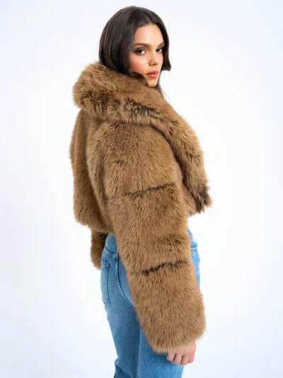 Miss Circle Yadavi Plush Vegan Faux Fur Cropped Jacket In Brown