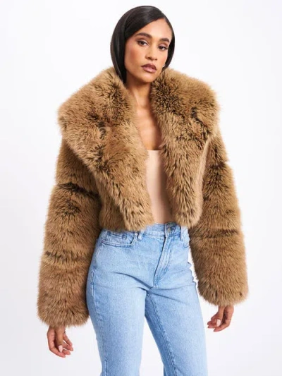 Miss Circle Yadavi Plush Vegan Faux Fur Cropped Jacket In Brown