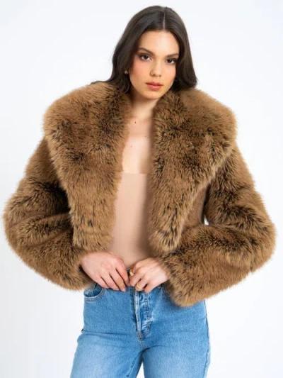 Miss Circle Yadavi Plush Vegan Faux Fur Cropped Jacket In Brown