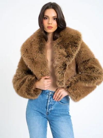 Miss Circle Yadavi Plush Vegan Faux Fur Cropped Jacket In Brown