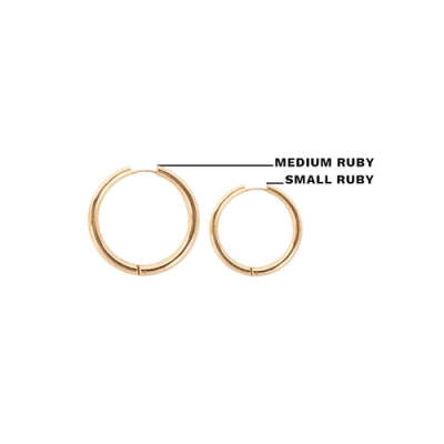 Hey Harper Ruby Earrings In Gold