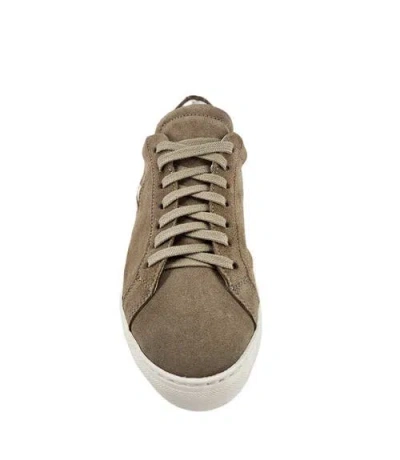 Madison Maison Suede Sirius Star Womens Sneaker In Multi