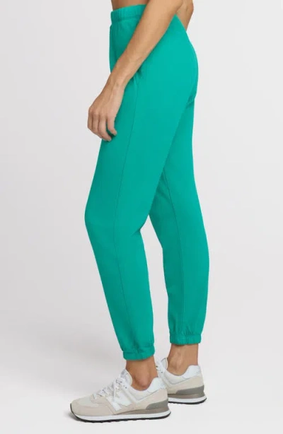 The Standard Stitch The Sweatpant In Blue