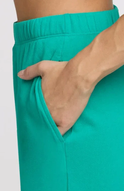 The Standard Stitch The Sweatpant In Blue