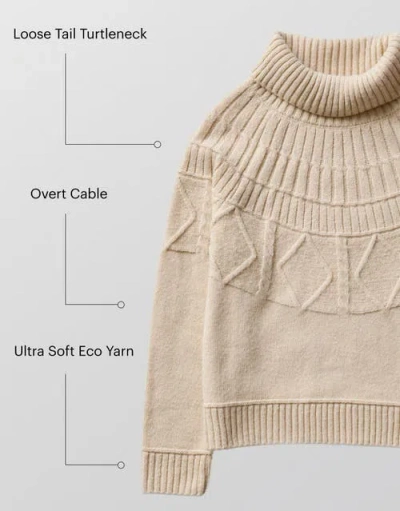Carve Designs Neve Fairisle Turtleneck In Multi