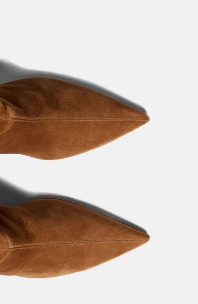 Scarosso Barbara Pointed-toe Boots In Brown