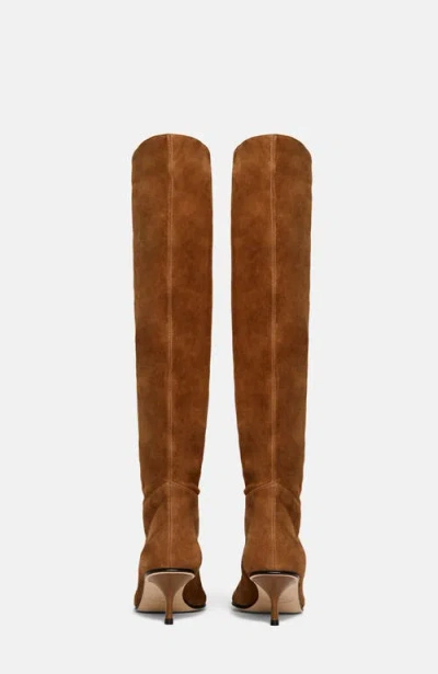 Scarosso Barbara Pointed-toe Boots In Brown