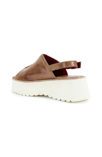 Bed Stu Library Platform Sandal In Brown