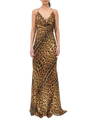 Roberto Cavalli Leopard Print Draped Dress With Open Back In Multi