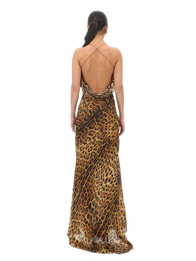 Roberto Cavalli Leopard Print Draped Dress With Open Back In Multi