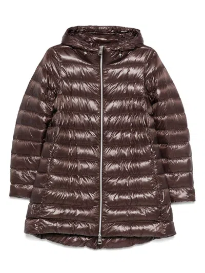 Herno Chocolate Colored Quilted Down Jacket In Brown