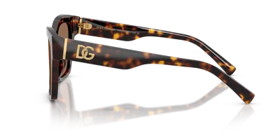 Dolce & Gabbana Dolce&gabbana Woman Sunglass Dg4512 In Brown
