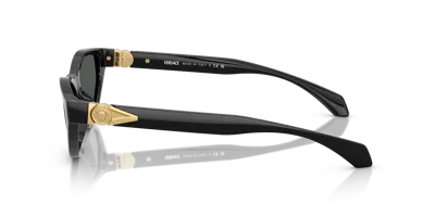 Versace Woman Sunglass Ve4491u In Gray