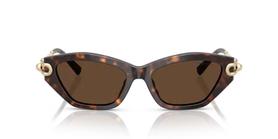 Tiffany & Co . Woman Sunglass Tf4231u In Brown