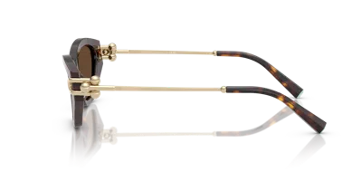 Tiffany & Co . Woman Sunglass Tf4231u In Brown