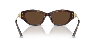 Tiffany & Co . Woman Sunglass Tf4231u In Brown